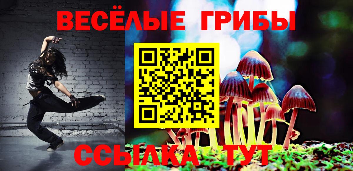 Галлюциногенные грибы прущие грибы Кимры