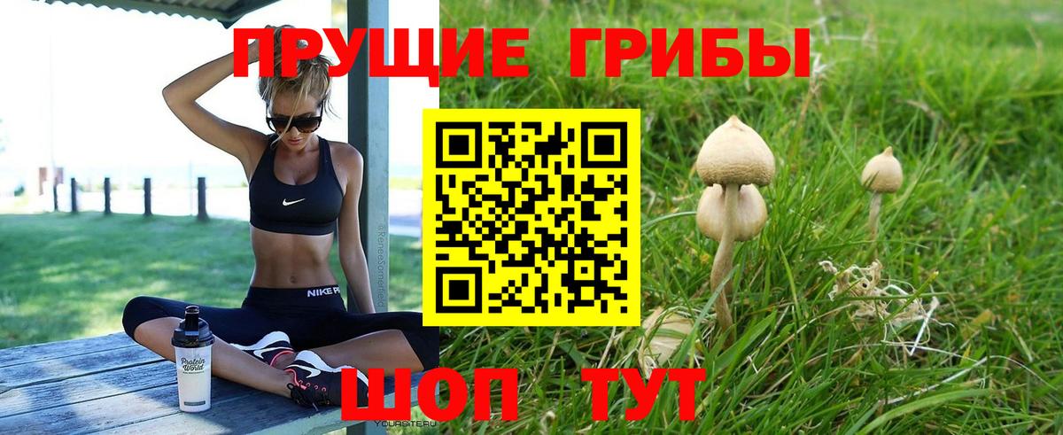 Кимры  Галлюциногенные грибы мицелий  Галлюциногенные грибы прущие грибы  Вход с VPN 